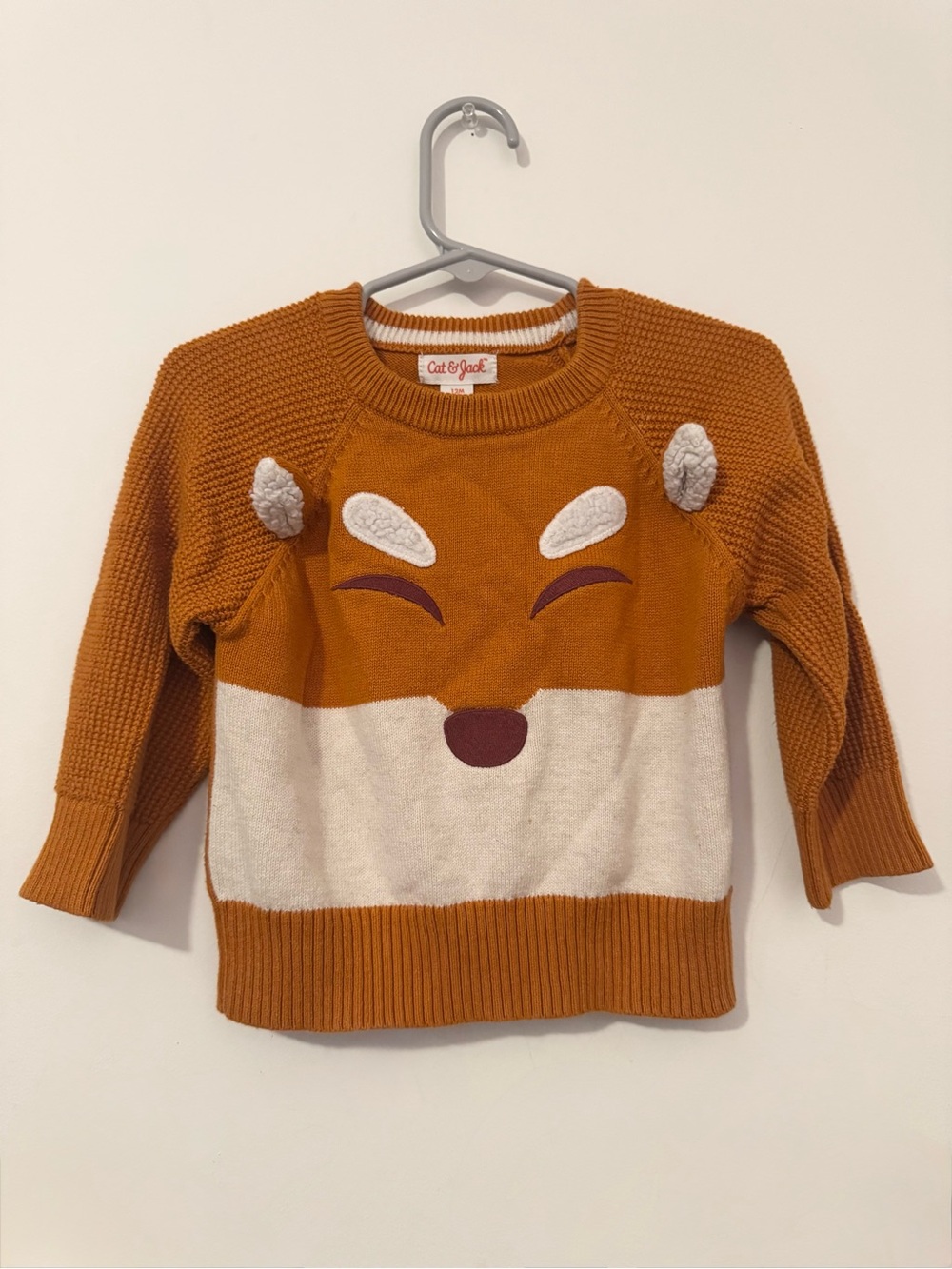 Cat & Jack Infant Boys Fox Sweater